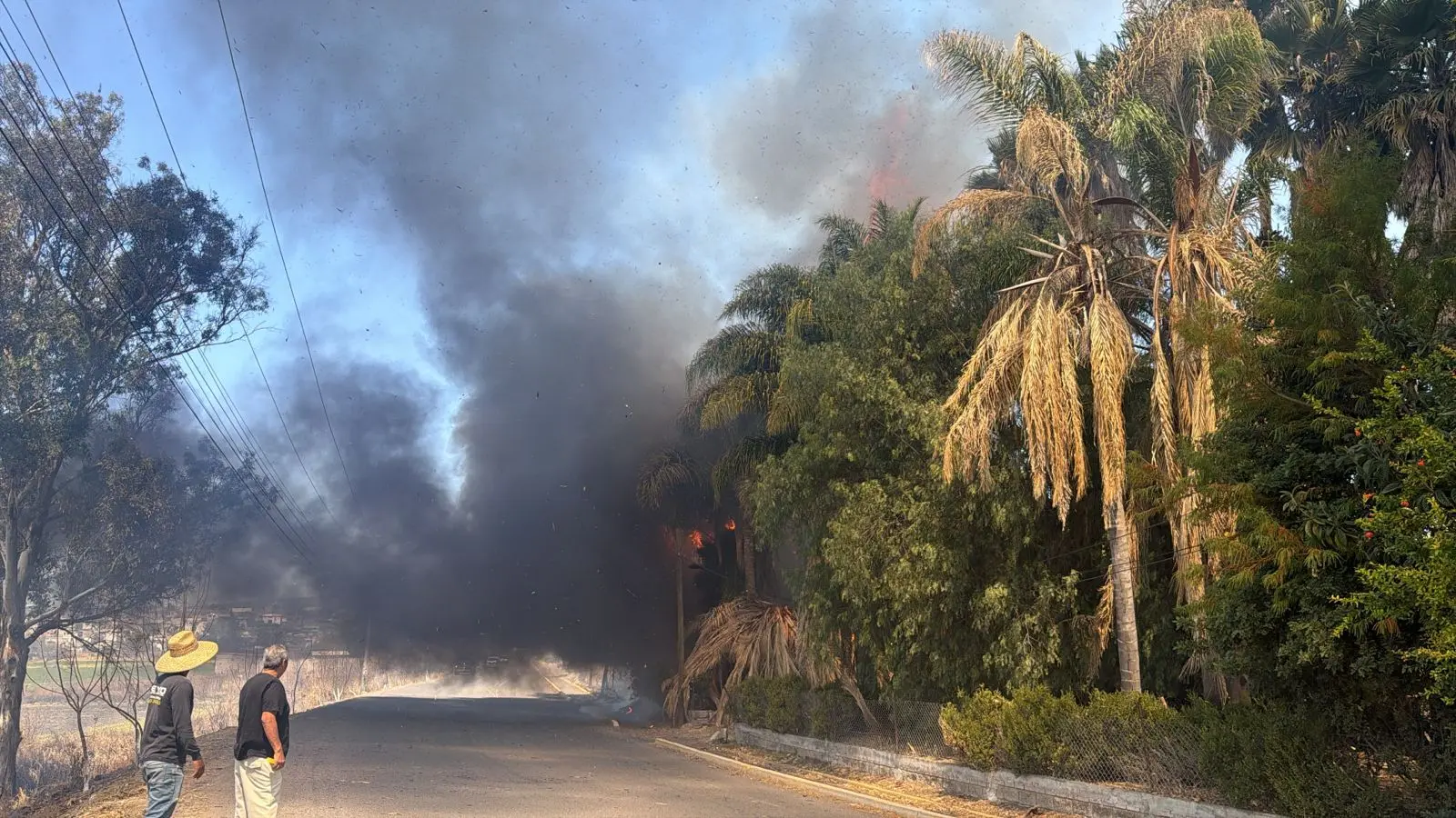 Reportan incendio de casa habitación en Tejáro