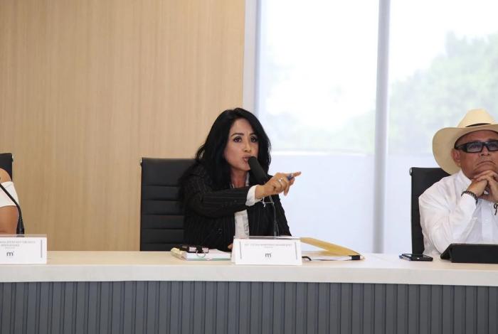 Reprocha PRD aumentos hasta del 600% en Ley de Ingresos 2026 de Morelia