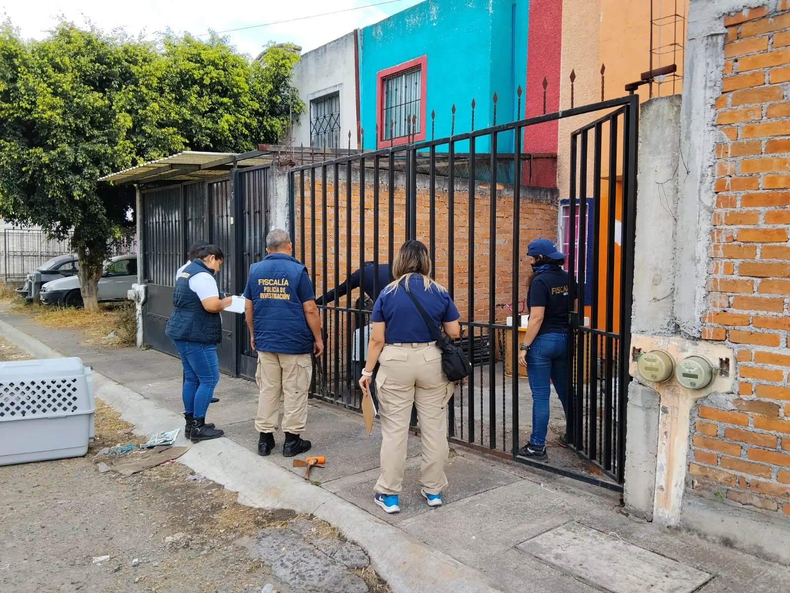 Rescatan a cinco perros víctimas de maltrato animal