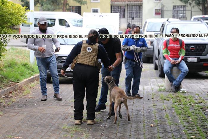 Rescatan a cuatro perros víctimas de maltrato y abandono en Villas del Pedregal, Morelia