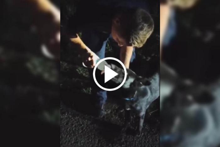 Rescatan a perrito abandonado en la Morelia-Zinapécuaro