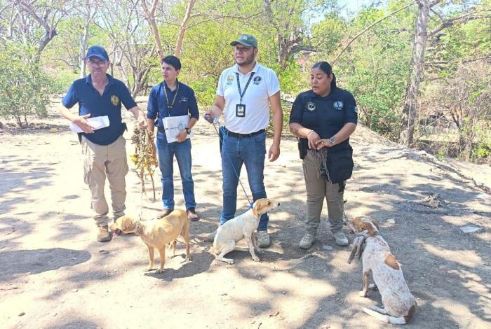 Rescatan a tres perros maltr4tados en Huetamo