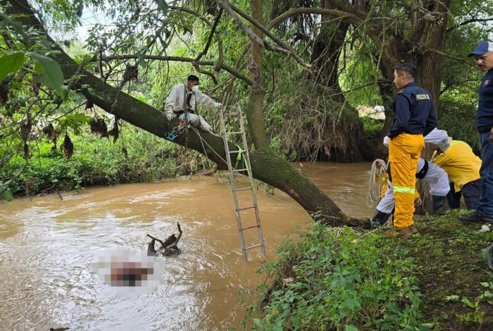 Rescatan el cuerpo de Ángel N; cayó al río en Tangancícuaro