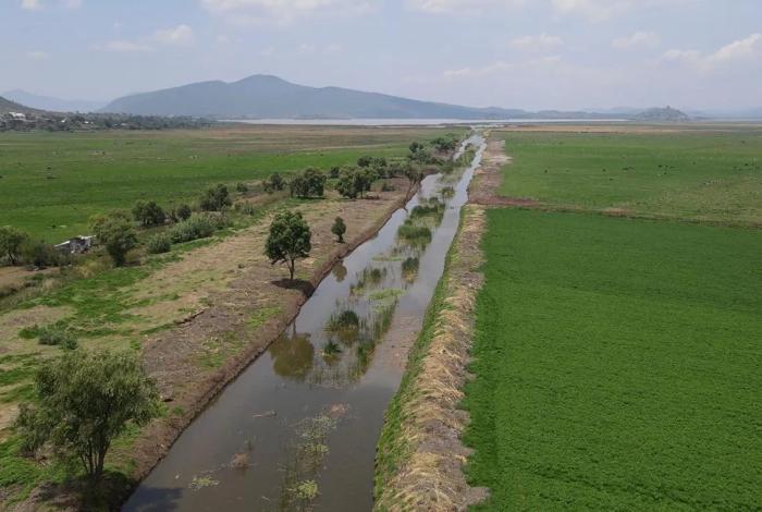 Rescate del canal de Erongarícuaro revitaliza ecosistema y economía local: Compesca