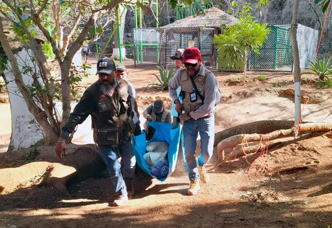 Resguarda Zoológico de Morelia ejemplares decomisados en Huetamo