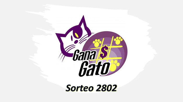 Resultados y números ganadores del sorteo “Gana Gato” 2802 del 16 de enero de 2025