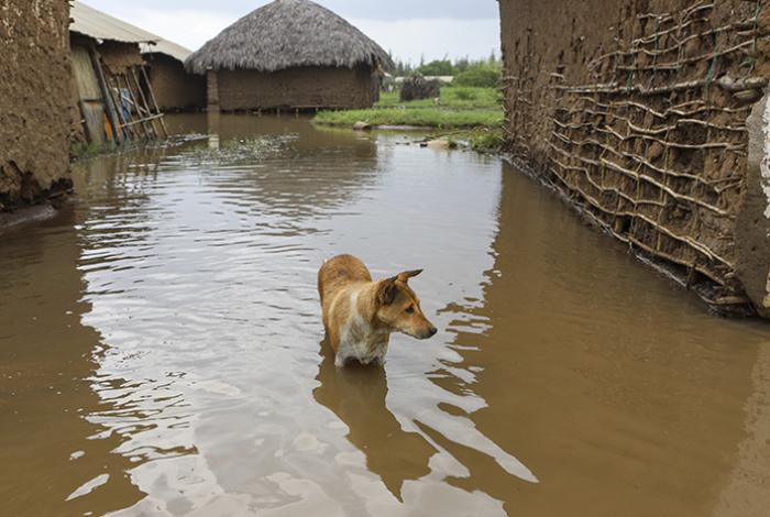 Se avecina El Niño, ¿qué efectos tendrá el fenómeno sobre un planeta ya en riesgo?