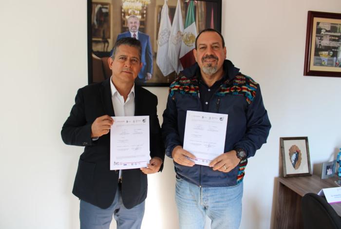 Secma inicia rescate del Pino de Coalcomán, especie única en el mundo