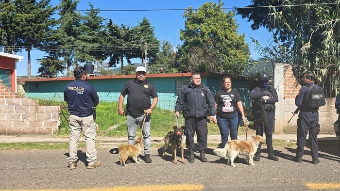 Senguio: FGE rescata a tres perros en condiciones de maltrato en un domicilio