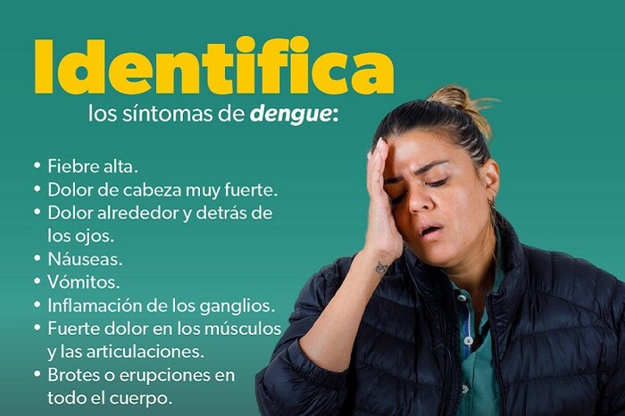  Si tienes fiebre, dolor detrás de los ojos o debilidad, podría ser dengue: SSM