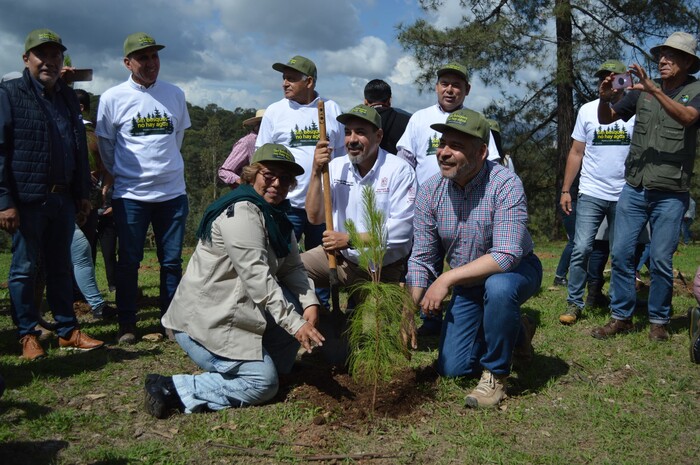  Sin bosques no hay agua y sin agua no hay vida, es una verdad absoluta: Bedolla arranca reforestación