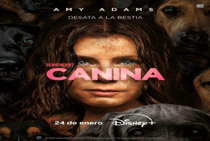 Sobre las historias que nos hacen sentir vistas