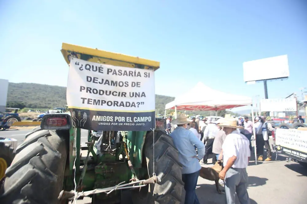 Solicitan campesinos que se reinstale la mesa de diálogo resolutiva con el gobierno federal