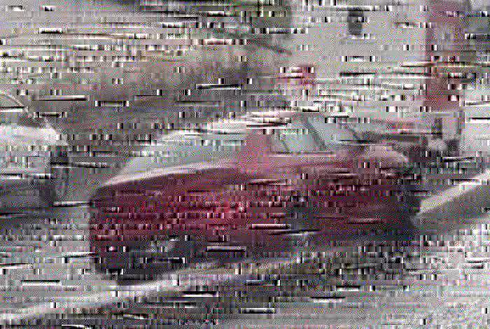 Sólo daños materiales dejan tres accidentes viales en Morelia