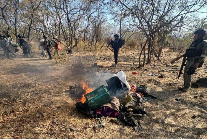 SSP destruye en Buenavista campamento ilícito y asegura 3 vehículos con reporte de robo