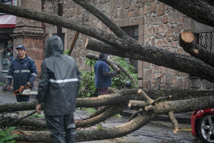Suman 12 árboles caídos en dos días en Morelia