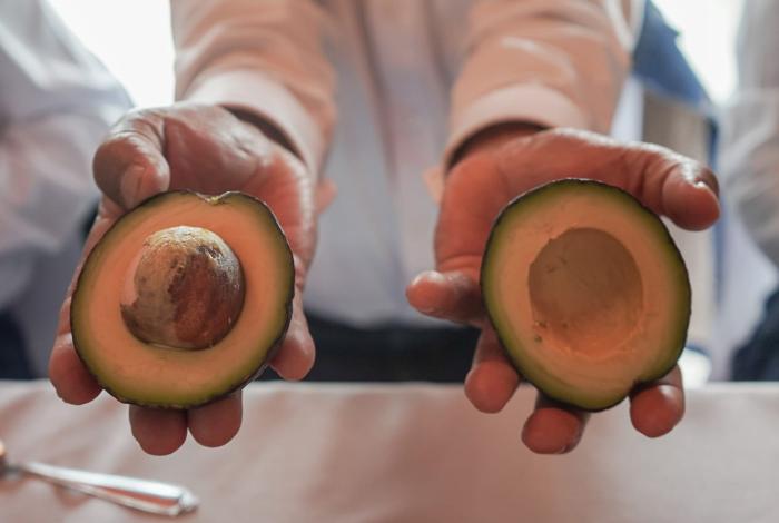 Surge la Unión Estatal de Agricultores en Pro del Aguacate de Exportación