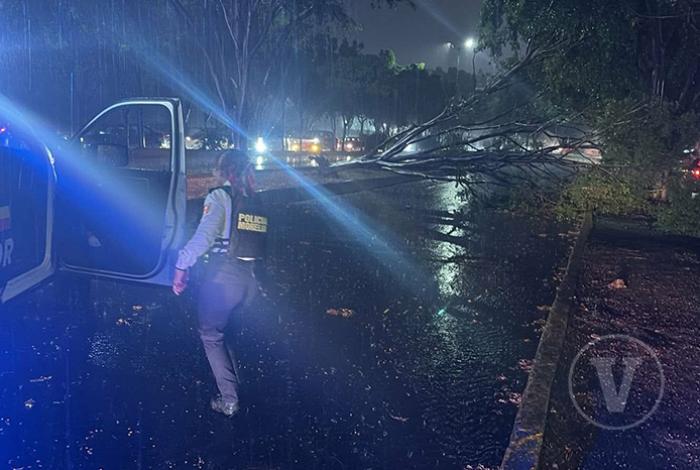 Tormenta eléctrica provoca caída de árboles, inundaciones y cortes de energía en Morelia