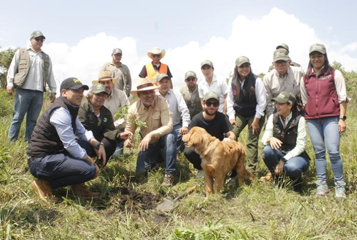 Tras incendios forestales, arranca reforestación del segundo anillo periférico, con meta de 10.5 millones de plantas