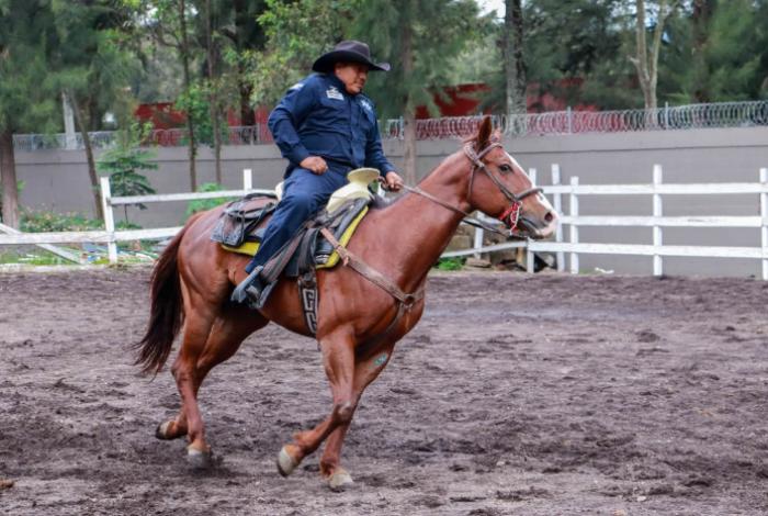 Tras persecución a caballo, detienen a hombre con droga en Tres Puentes; desmienten lesión de equino