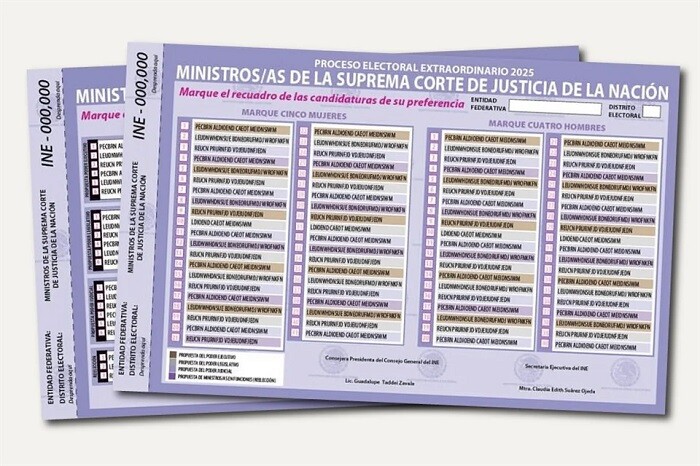 Tribunal Electoral da luz verde al INE para seguir con la organización para elección judicial