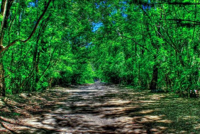 Turismo en México, de vuelta a lo natural