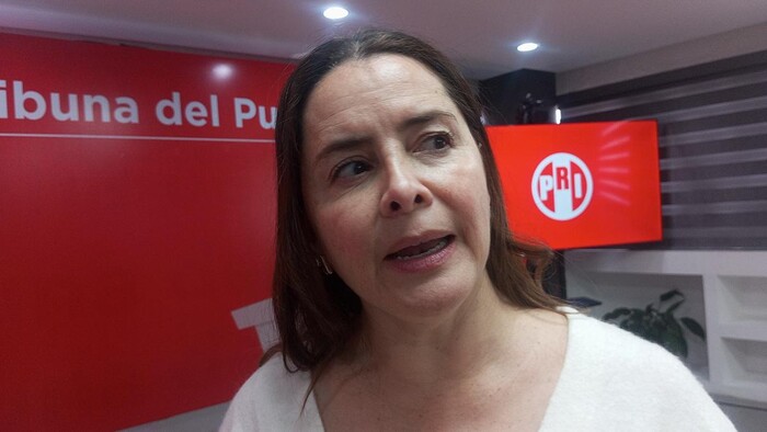 Un exceso, 61 mdp para abogados externos del gobierno de Morelia: Regidora del PRI