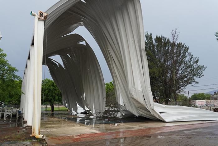  Un muerto, arboles caídos y encharcamientos, tras fuerte tromba que azotó a Zamora