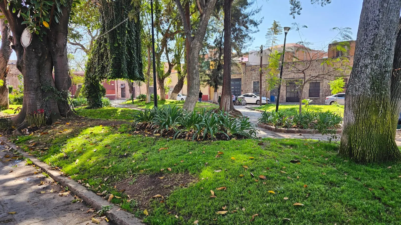 Un pulmón verde con historia en el corazón de Morelia