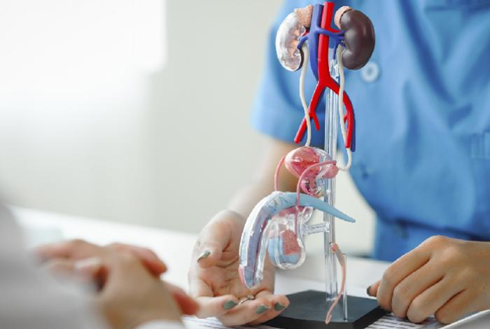 Uno de cada seis mexicanos está en riesgo de padecer cáncer de próstata