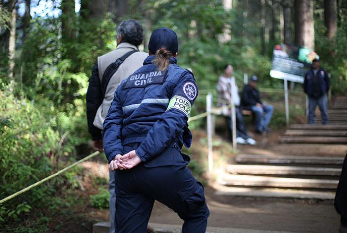 ¿Vas a los Santuarios de la Mariposa Monarca? Guardia Civil garantiza una visita segura