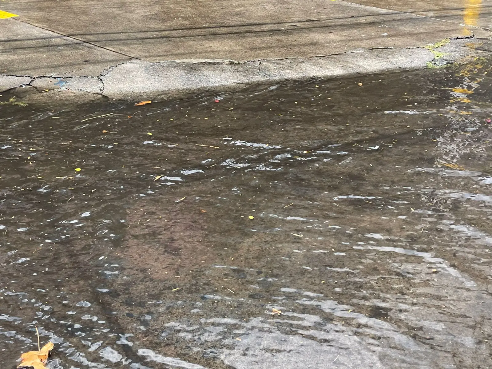 Vecinos del Boulevard García de León preocupados por inundaciones