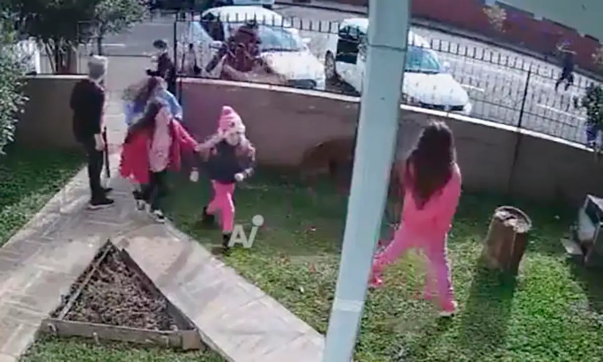 #Video: Adolescente asesina a niño de 9 años en Brasil