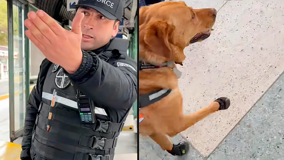 #Video: niegan acceso a hombre invidente con perro guía en Ecuador