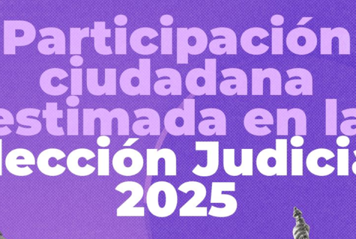 #Video | Porcentaje de participación ciudadana en la Jornada Electoral del PEEPJF 2024-2025 está entre el 12.57 % y el 13.32 %