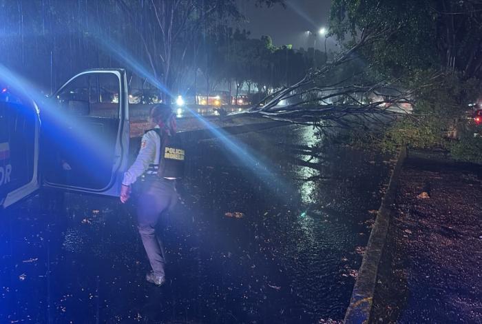 Vientos, truenos, lluvia y algunos árboles caídos, marcaron la noche en Morelia
