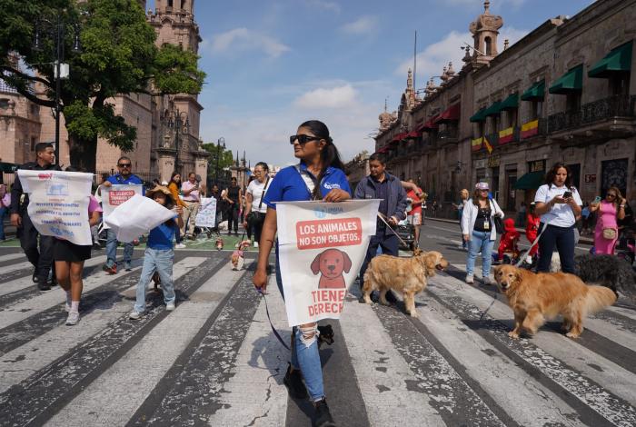 Villas del Pedregal, Camponubes y Misión del Valle, focos rojos en maltrato contra animales