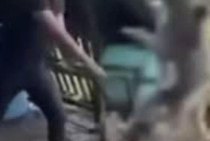 Vinculan a proceso a Luis Ángel: colgó y mató a palos a un suave lomito