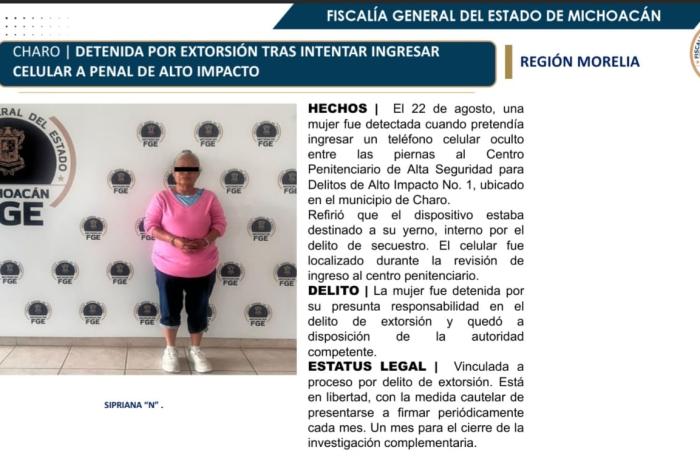 Vinculan a proceso a mujer; intentó introducir un teléfono al penal de Charo