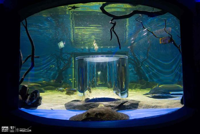 ¡Vive unas vacaciones inolvidables en el Zoológico de Morelia!