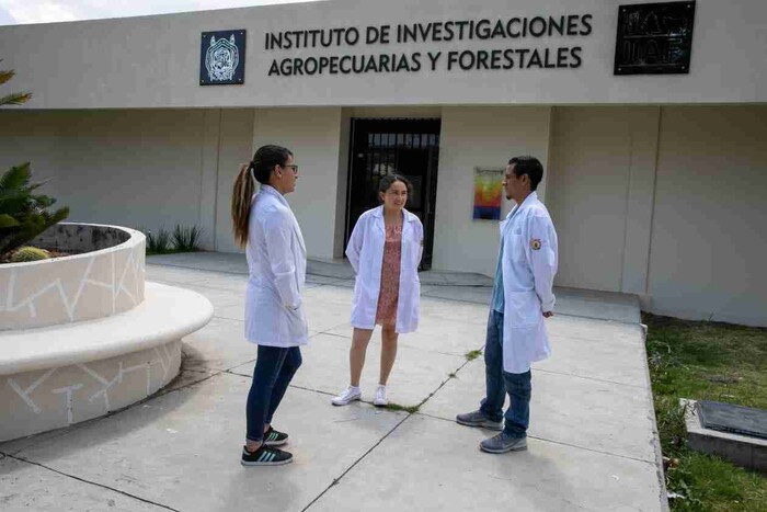  XIX Congreso Nacional de Investigación Socioeconómica y Ambiental de la Producción Pecuaria, en puerta