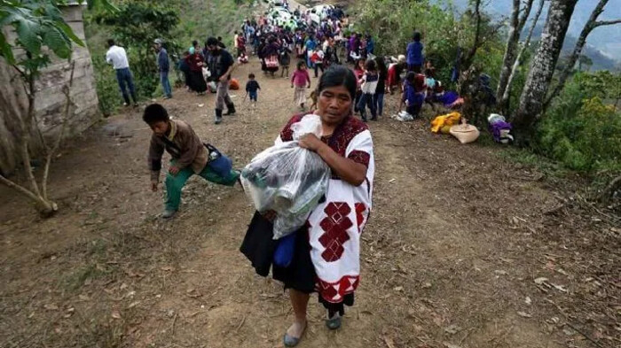 Éxodo forzado en Chiapas ante la violencia de sicarios