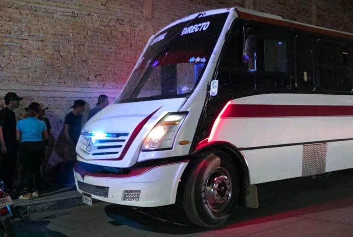 Zamora: mujer de la tercera edad pierde la vid4 tras ser arrollada por camión de la Ruta Rosa