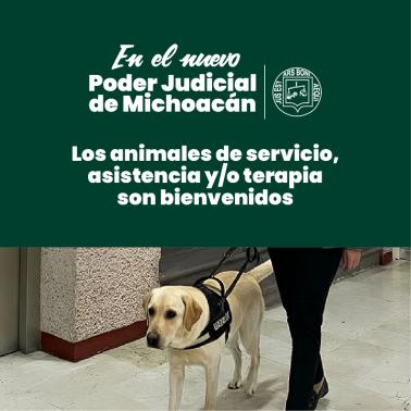 Poder Judicial